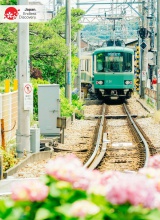 Kinh nghiệm du lịch Nhật Bản